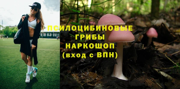 мет Баксан